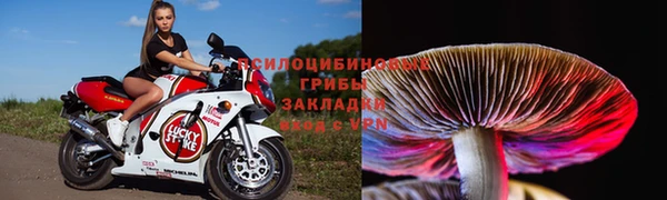 винт Алексин