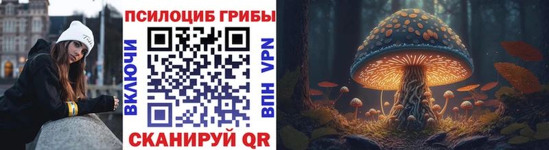 гидра как зайти  наркота  Макушино  Псилоцибиновые грибы Magic Shrooms 